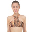 Bark Texture Wood Large Rough Red Wood Outside California High Neck Bikini Top View1