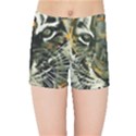 Angry Tiger Animal Broken Glasses Kids  Sports Shorts View1