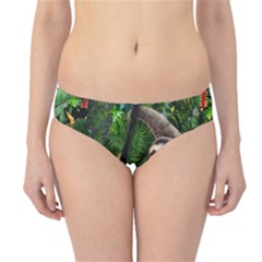 Sloth In Jungle Art Animal Fantasy Hipster Bikini Bottoms by Cemarart