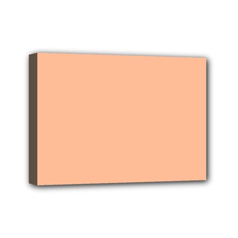 Peach Fuzz 2024 Mini Canvas 7  X 5  (stretched) by dressshop