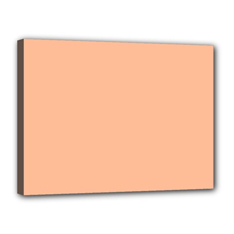 Peach Fuzz 2024 Canvas 16  X 12  (stretched) by dressshop