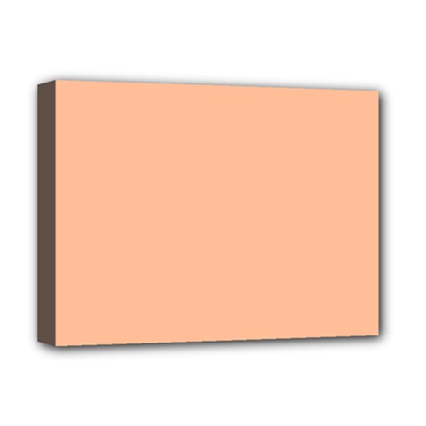 Peach Fuzz 2024 Deluxe Canvas 16  X 12  (stretched)  by dressshop