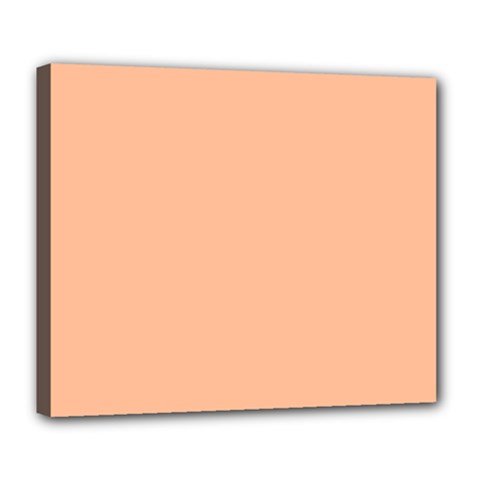 Peach Fuzz 2024 Deluxe Canvas 24  X 20  (stretched) by dressshop