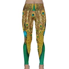 Peacock Feather Bird Peafowl Lightweight Velour Classic Yoga Leggings by Cemarart