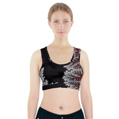 Math Formula Sports Bra With Pocket by Bedest