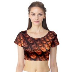 Fractal Frax Short Sleeve Crop Top by Askadina