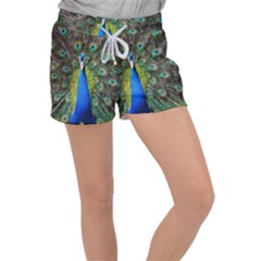 Peacock Bird Feathers Pheasant Nature Animal Texture Pattern Women s Velour Lounge Shorts by Bedest