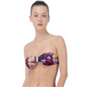 Cat 2 Classic Bandeau Bikini Top  View1