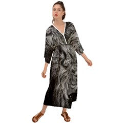 Angry Male Lion Wild Animal Grecian Style  Maxi Dress by Loisa77