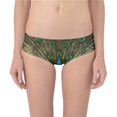 Peacock Feathers Bird Plumage Classic Bikini Bottoms by Perong