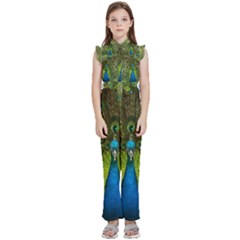 Peacock Feathers Bird Plumage Kids  Sleeveless Ruffle Edge Band Collar Chiffon One Piece by Perong