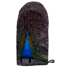 Bird Peacock Feathers Microwave Oven Glove by Perong