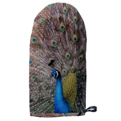 Peacock Bird Animal Peafowl Microwave Oven Glove by Perong