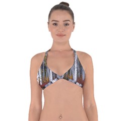 White Birch Trees Autumn Halter Neck Bikini Top by Perong