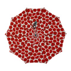 Flower Poppies Plant Petal Automatic Folding Umbrella With Case (large) by Perong