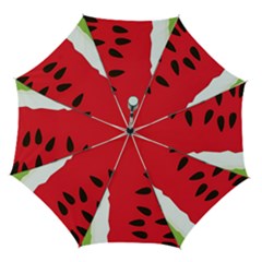 Watermelon Black Green Melon Red Automatic Folding Umbrella With Case (medium) by Cemarart