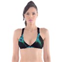 Shree Krishna, Feather, Lord, Rainbows Plunge Bikini Top View1