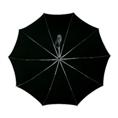 Plain Black Black Automatic Folding Umbrella With Case (large) by kyorashop23