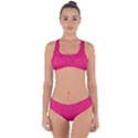 Pink Abstract Crimson Triangle Criss Cross Bikini Set View1