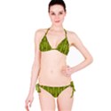 Fern Texture Nature Leaves Classic Bikini Set View3