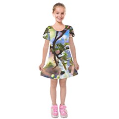 Springtime Pear Tree Blossoms Kids  Short Sleeve Velvet Dress by ExtraAwesomeSauce