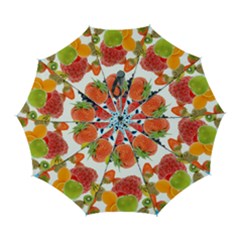 Fruits, Drip, Fruit, Paint, Spring Automatic Folding Umbrella With Case (large) by kyorashop23