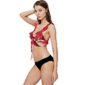 Watermelon, Fruit, Green, Red Low Cut Ruffle Edge Bikini Top View2