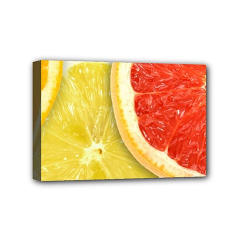 Fruit, Lemon Mini Canvas 6  X 4  (stretched) by kyorashop23