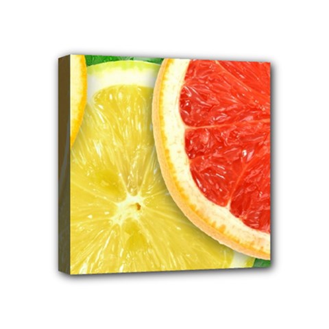 Fruit, Lemon Mini Canvas 4  X 4  (stretched) by kyorashop23