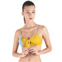 Orange, Slices, Fruit, Citrus Tie Up Cut Bikini Top View1