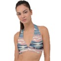 Artwork Painting Sculpture Nature Halter Plunge Bikini Top View1