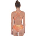 Abstract Texture Of Colorful Bright Pattern Of Transparent Leaves Of Orange And Yellow Color Criss Cross Bikini Set View2