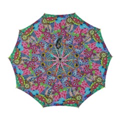 Cabbage Flower Abstract (1) (custom) Automatic Folding Umbrella With Case (large) by okhismakingart