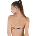 Leaves Boho Monster Nature Twist Bandeau Bikini Top View2