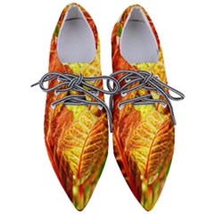 Leaves Plant Pattern Croton Nature Pointed Oxford Shoes by Sabxi