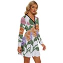 Embroidery Roses Floral Design Long Sleeve Deep V Mini Dress  View3