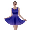 Cotton Candy Pink To Navy Blue Bilinear Gradient Skater Dress View1