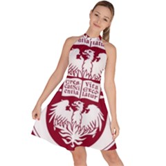 University Of Chicago Sleeveless Halter Neck A-line Dress by avitendut