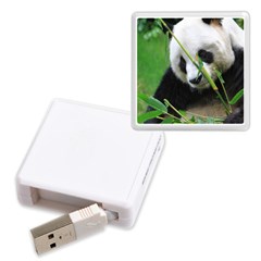 Memory Card Reader (Square) Icon