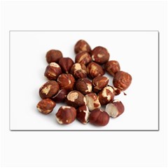 Hazelnuts Postcard 4 x 6  (10 Pack) by hlehnerer