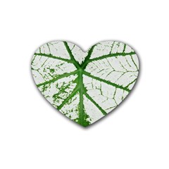 Leaf Patterns Drink Coasters (heart) by natureinmalaysia