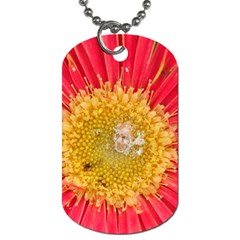 A Red Flower Dog Tag (one Sided) by natureinmalaysia