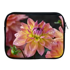 Dahlia Garden  Apple Ipad 2/3/4 Zipper Case by ADIStyle