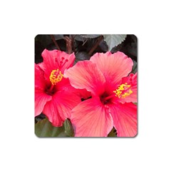 Red Hibiscus Magnet (square) by ADIStyle