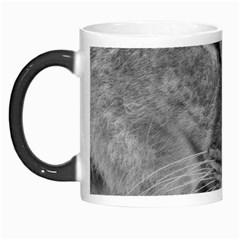 Lion 1 Morph Mug by smokeart