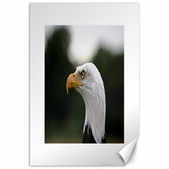 Bald Eagle (1) Canvas 24  X 36  (unframed) by smokeart