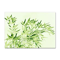 Bamboo A4 Sticker 10 Pack by Siebenhuehner