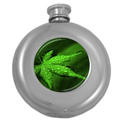 Leaf With Drops Hip Flask (round) by Siebenhuehner