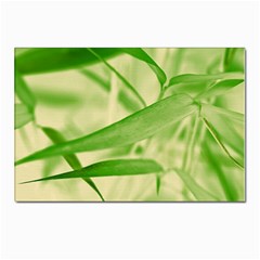 Bamboo Postcard 4 x 6  (10 Pack) by Siebenhuehner