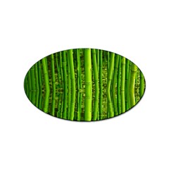 Bamboo Sticker 10 Pack (oval) by Siebenhuehner